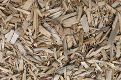 biomass boilers Woodsfield